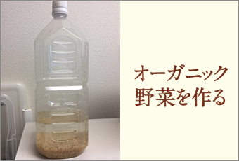 多用途な使い道 玄米乳酸菌とその作り方 いのちの環 No 94 1月号