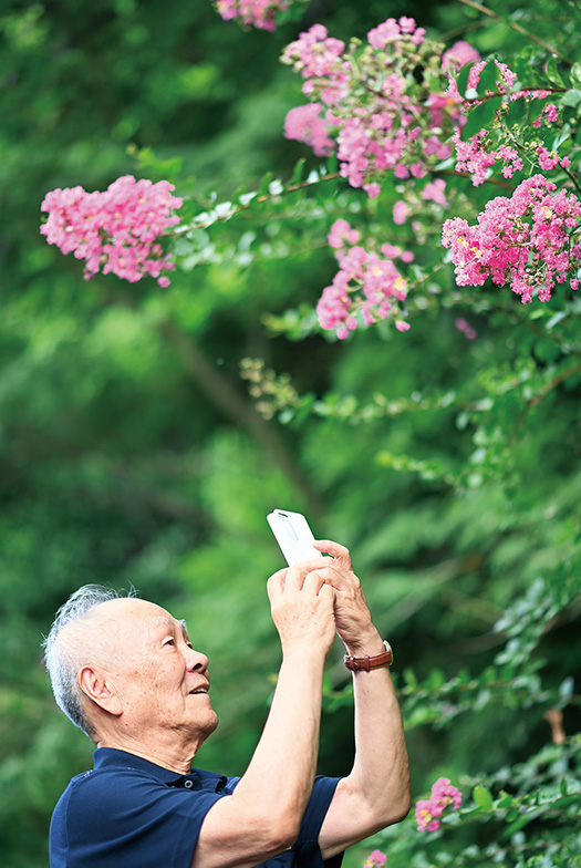 近所でサルスベリの花を見つけ、カメラに収める。「自然の微細な造形は、とても表現しきれません」