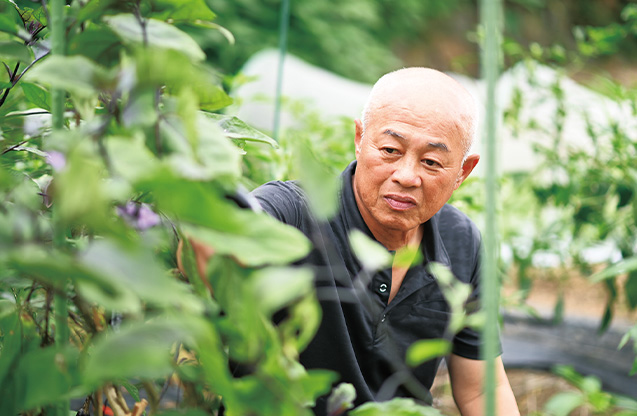 家庭菜園で実ったナスを眺める。「野菜にも『ありがとう』と声をかけて育てています」（写真／遠藤昭彦）